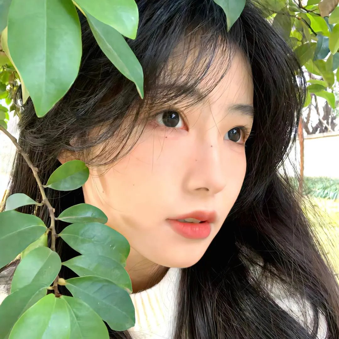起司螨