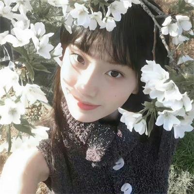 黑金地的女人